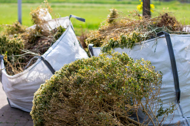 Demolition Debris Removal in South Jacksonville, IL